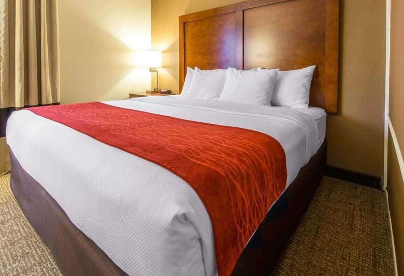 فندق Comfort Inn & Suites