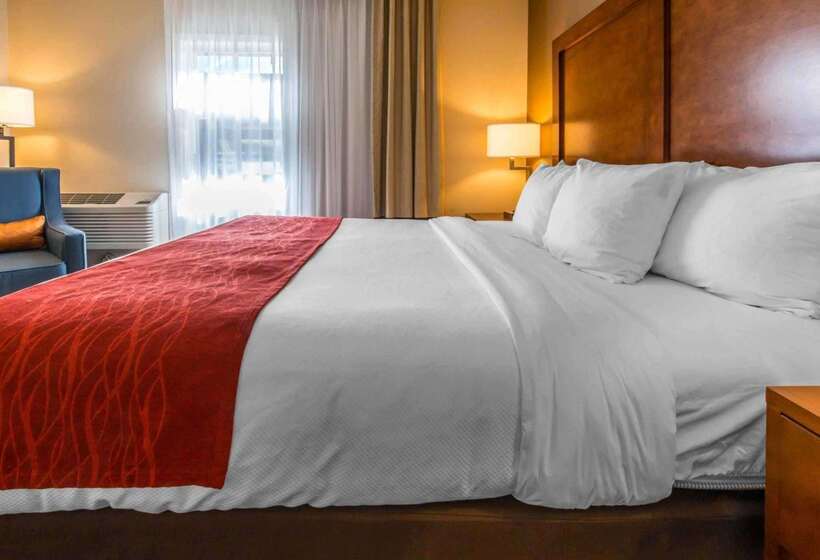 فندق Comfort Inn & Suites