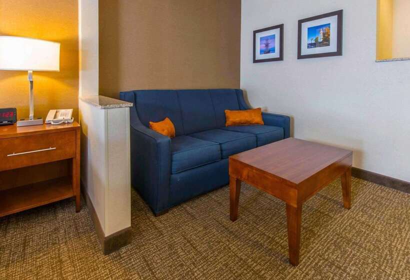 فندق Comfort Inn & Suites