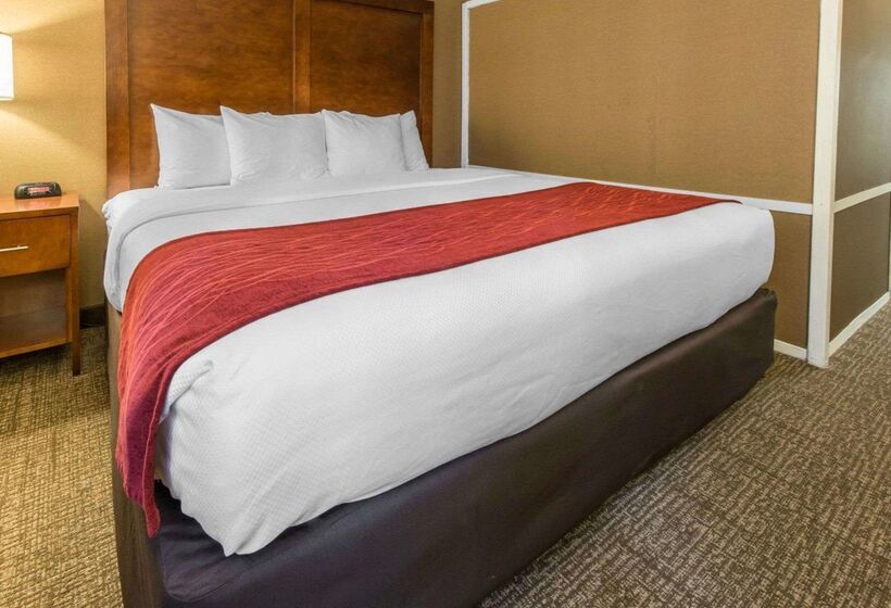 فندق Comfort Inn & Suites