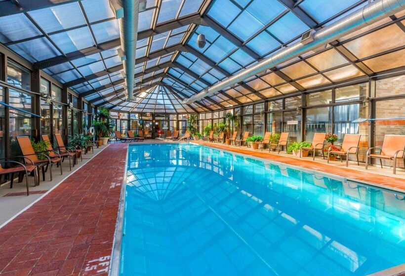 فندق Comfort Inn & Suites