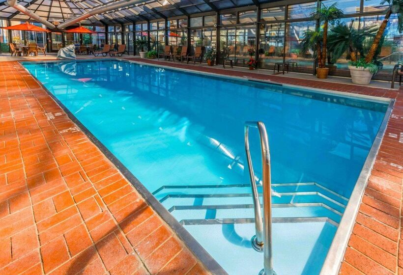 فندق Comfort Inn & Suites