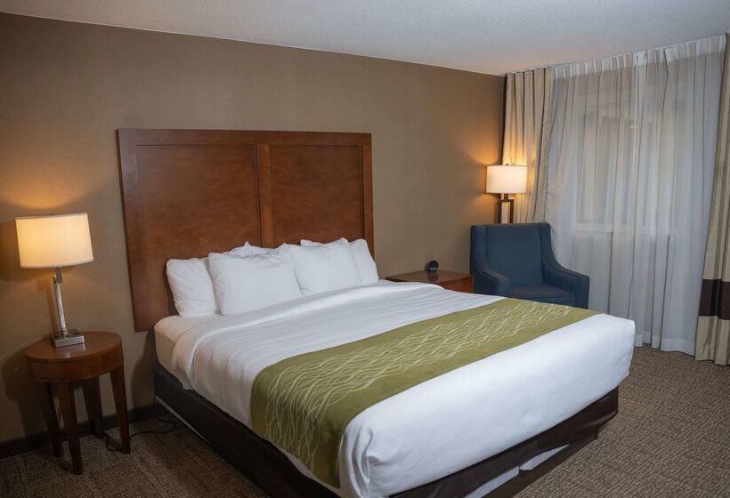 فندق Comfort Inn & Suites