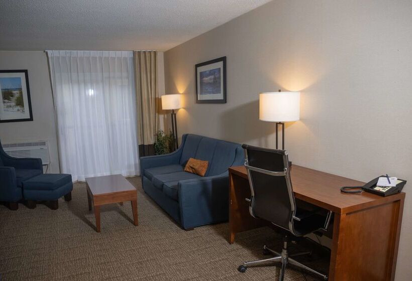 فندق Comfort Inn & Suites