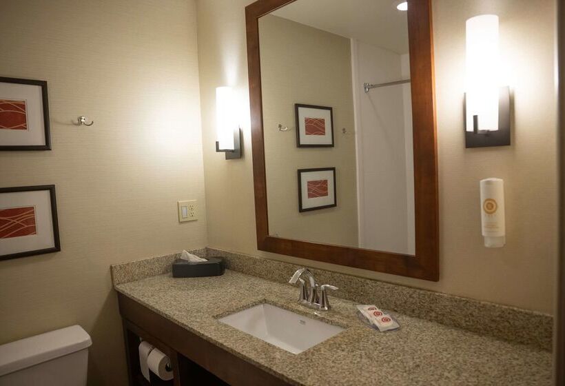 فندق Comfort Inn & Suites