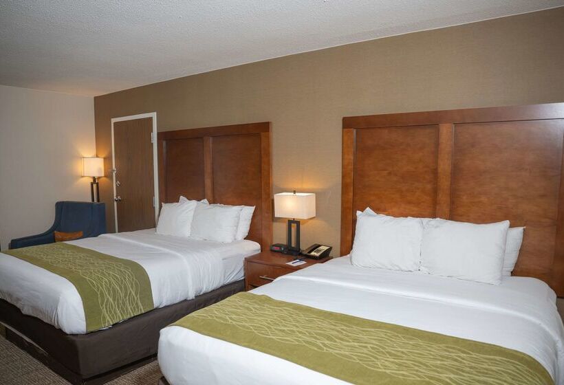 فندق Comfort Inn & Suites