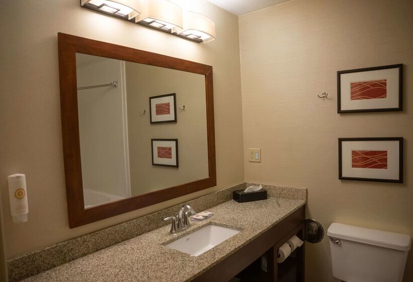 فندق Comfort Inn & Suites