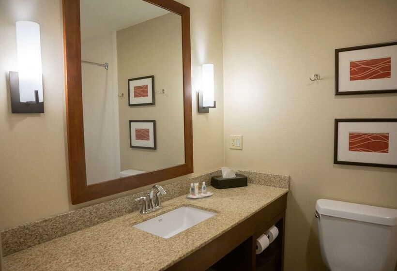 فندق Comfort Inn & Suites