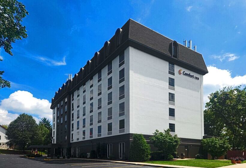 酒店 Comfort Inn At The Park