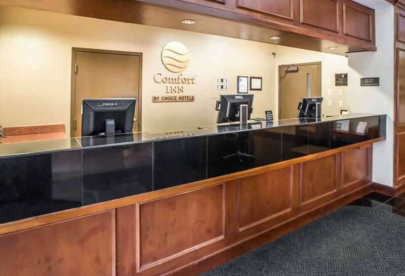 酒店 Comfort Inn At The Park