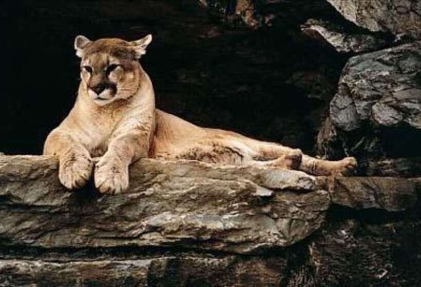 酒店 Comfort Inn At The Park