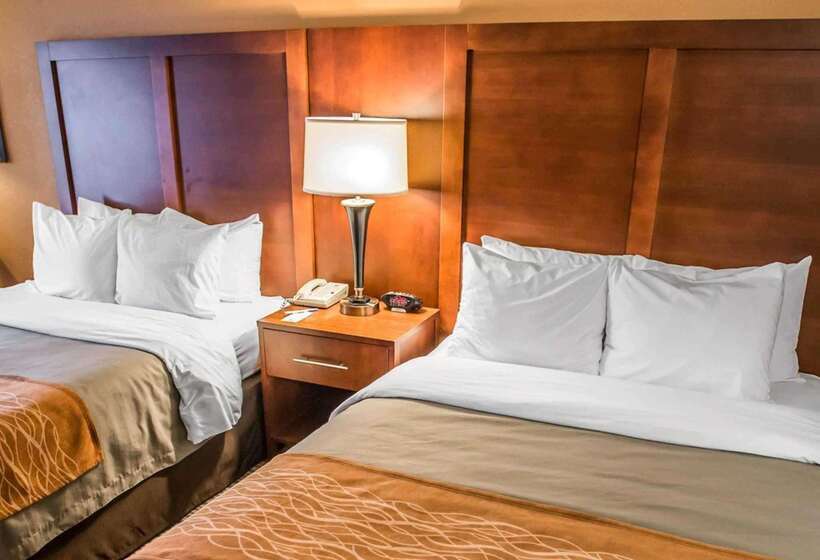 酒店 Comfort Inn At The Park