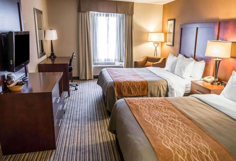 酒店 Comfort Inn At The Park