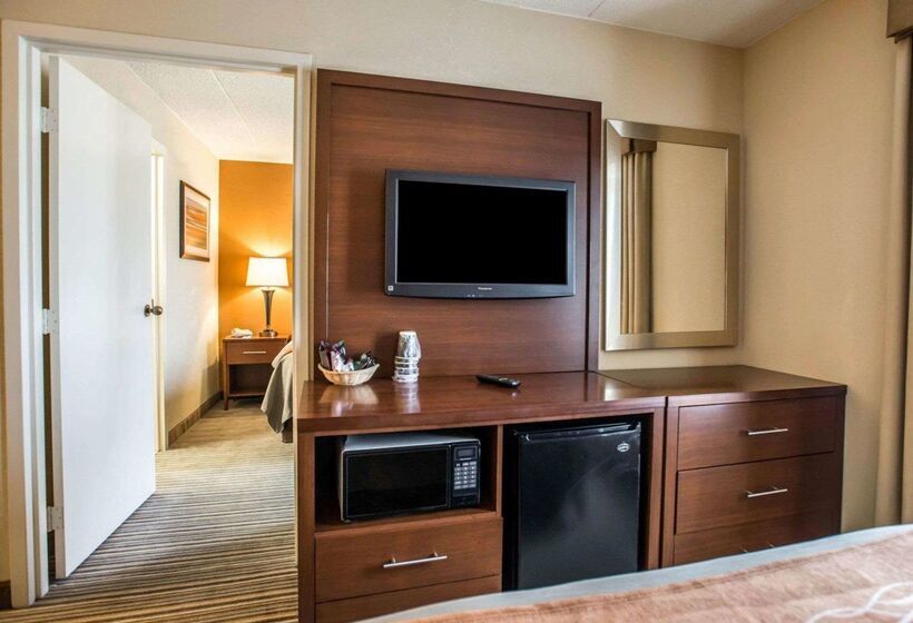 酒店 Comfort Inn At The Park