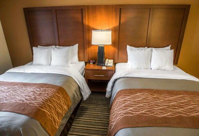 酒店 Comfort Inn At The Park