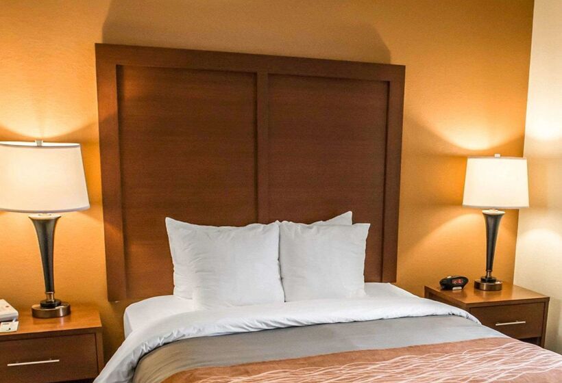 酒店 Comfort Inn At The Park