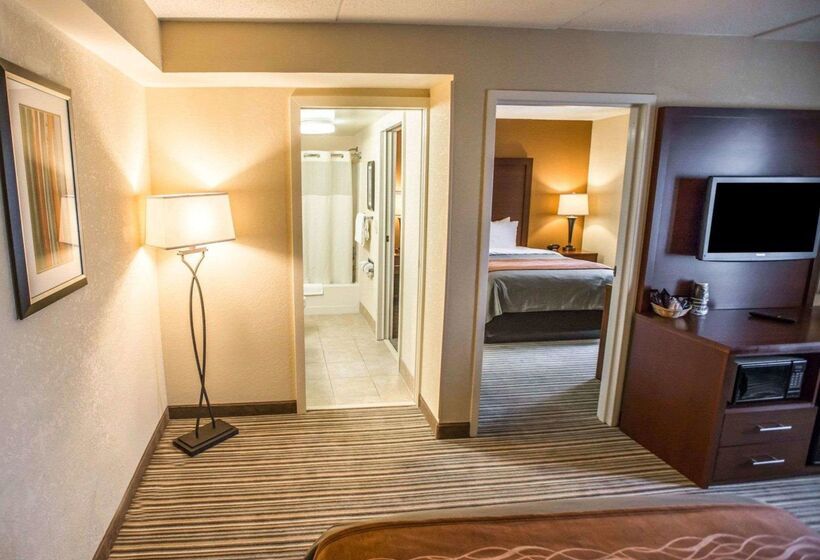 酒店 Comfort Inn At The Park