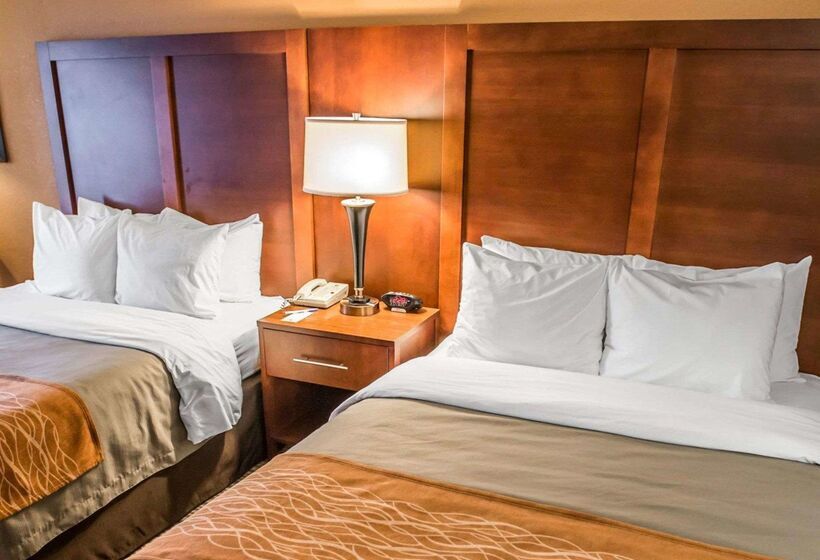 酒店 Comfort Inn At The Park