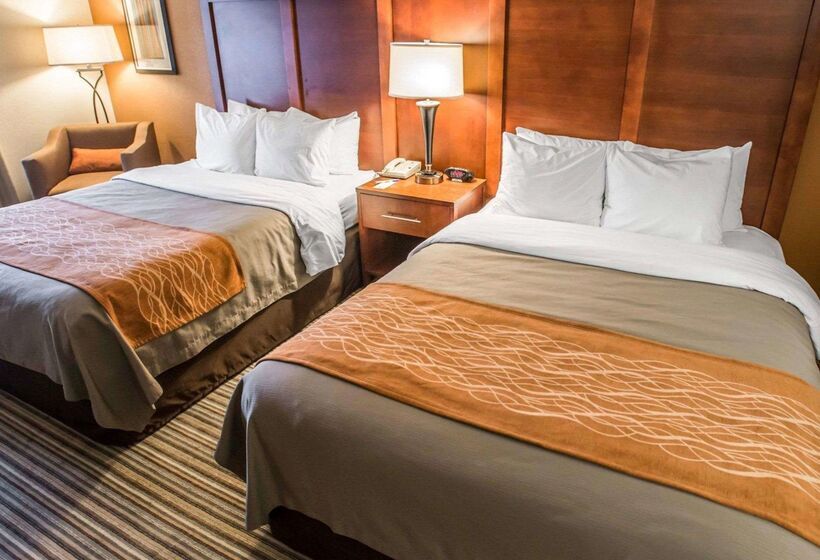 酒店 Comfort Inn At The Park