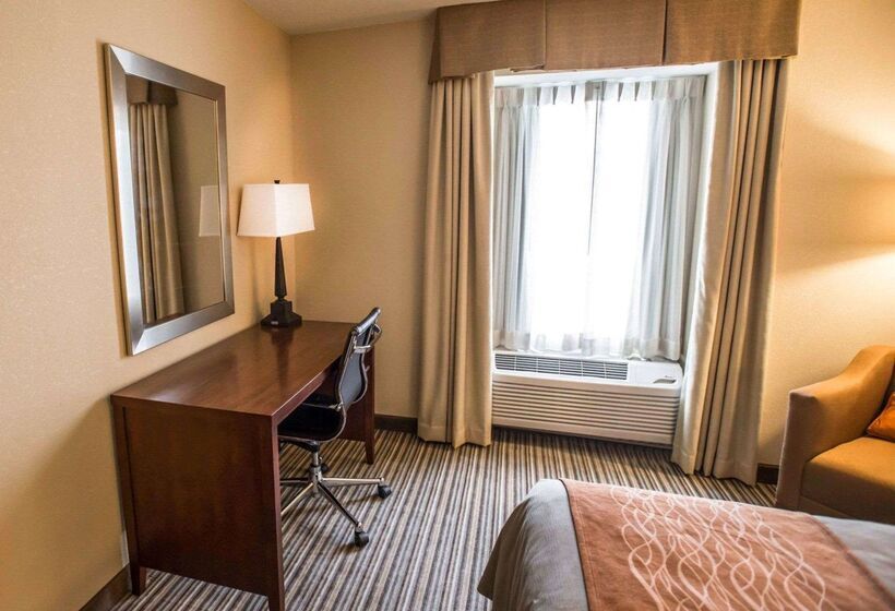 酒店 Comfort Inn At The Park