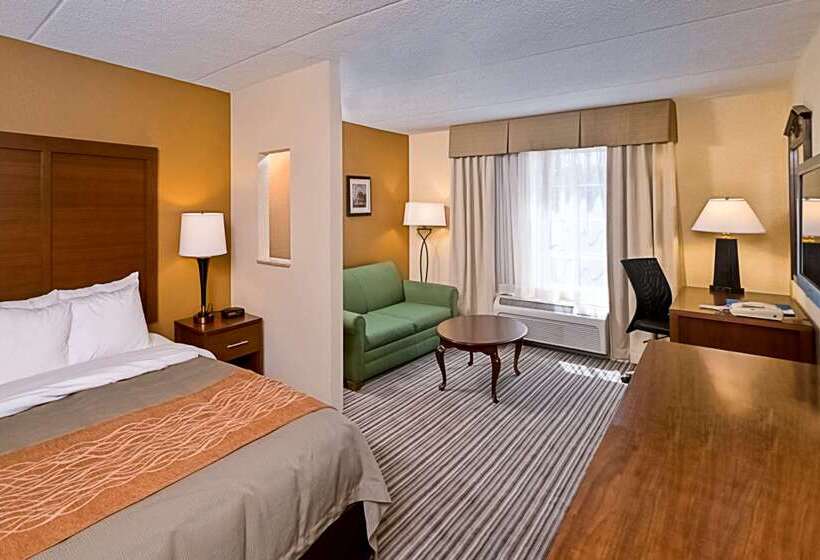 酒店 Comfort Inn At The Park