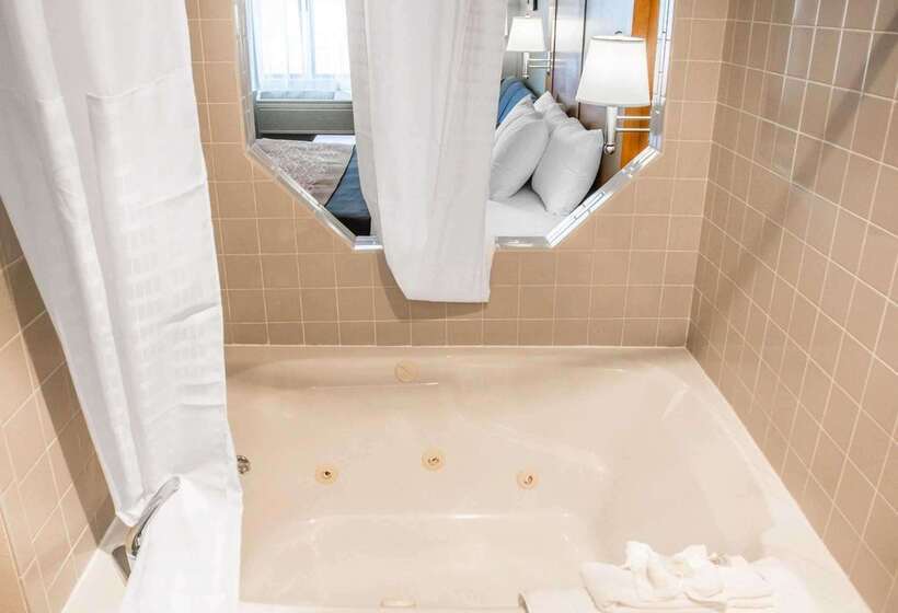 ホテル Comfort Inn