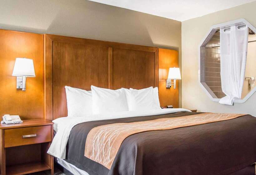 ホテル Comfort Inn