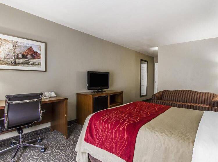 Отель Comfort Inn Brunswick