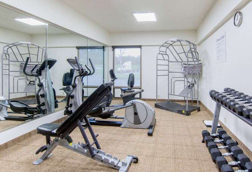 فندق Comfort Inn Chester  Richmond South