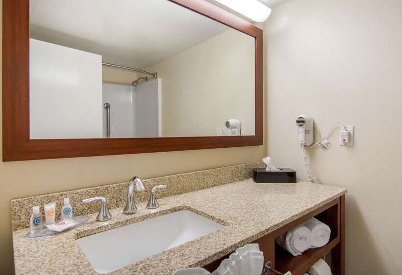 فندق Comfort Inn Chester  Richmond South