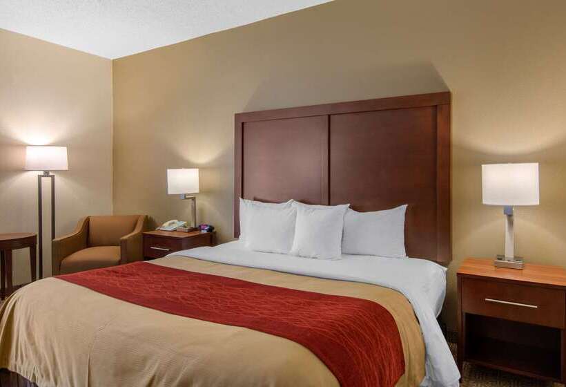 酒店 Comfort Inn Chester  Richmond South