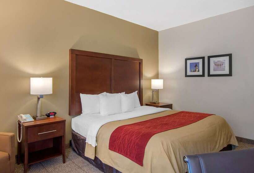 فندق Comfort Inn Chester  Richmond South