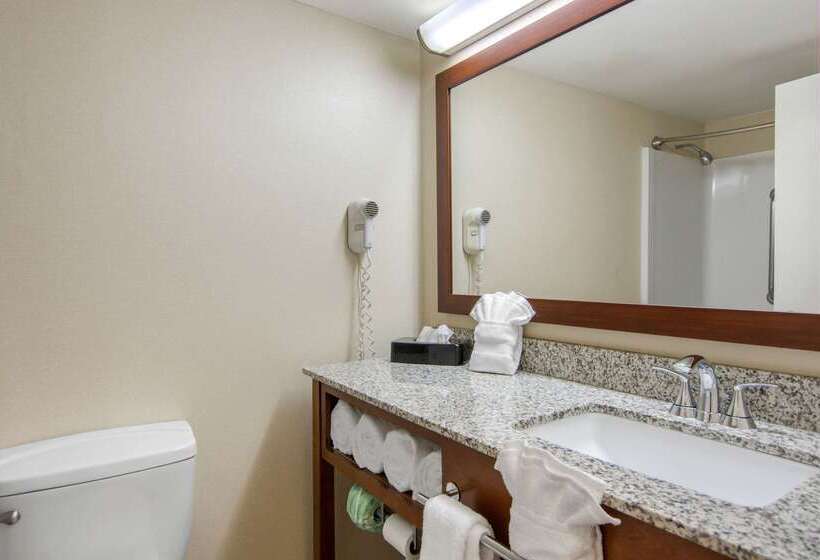 فندق Comfort Inn Chester  Richmond South