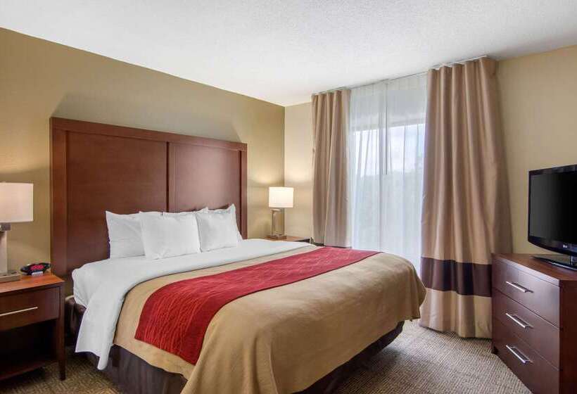 فندق Comfort Inn Chester  Richmond South