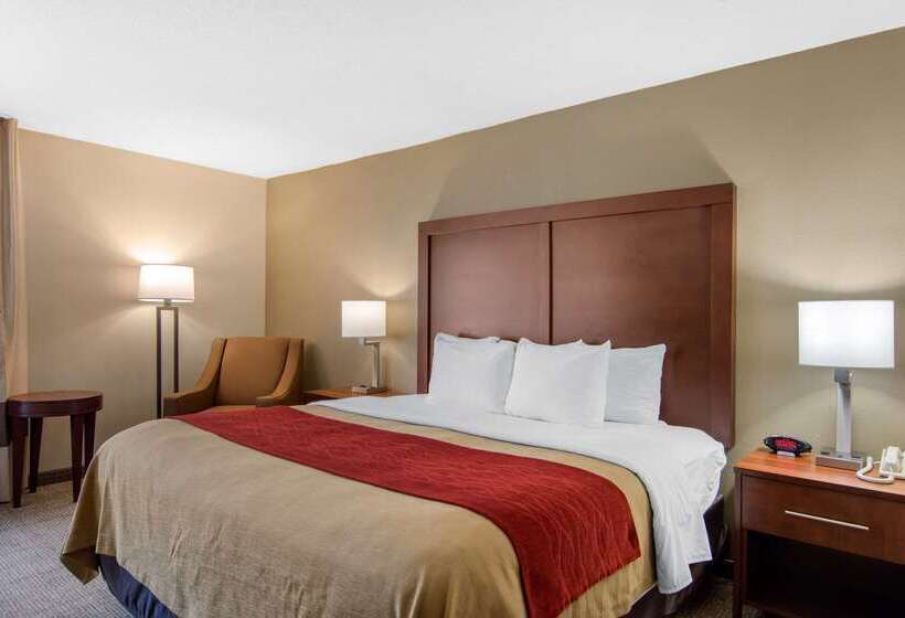 فندق Comfort Inn Chester  Richmond South