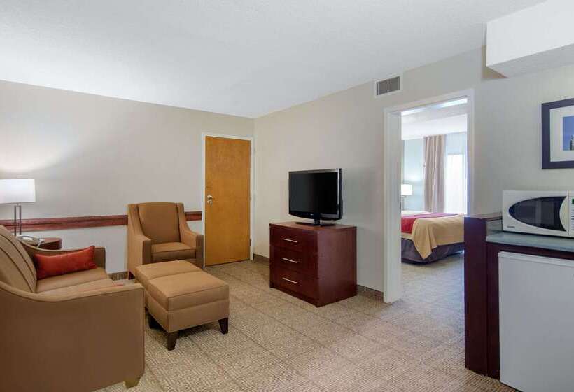 فندق Comfort Inn Chester  Richmond South