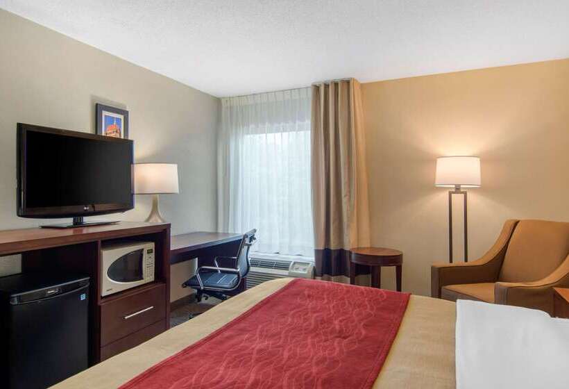 酒店 Comfort Inn Chester  Richmond South