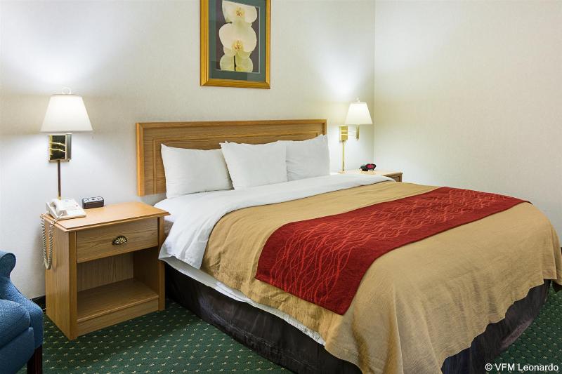 فندق Comfort Inn Chester  Richmond South