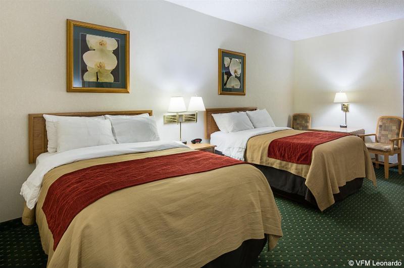 酒店 Comfort Inn Chester  Richmond South