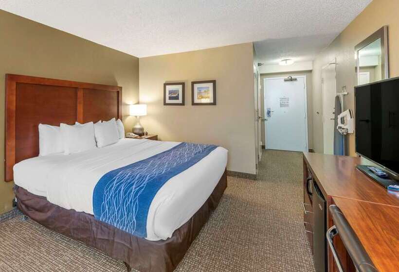 فندق Comfort Inn Elizabeth City Near University