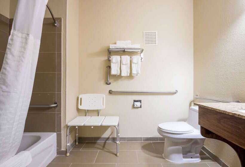 Отель Quality Inn & Suites