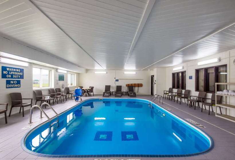 Отель Quality Inn & Suites