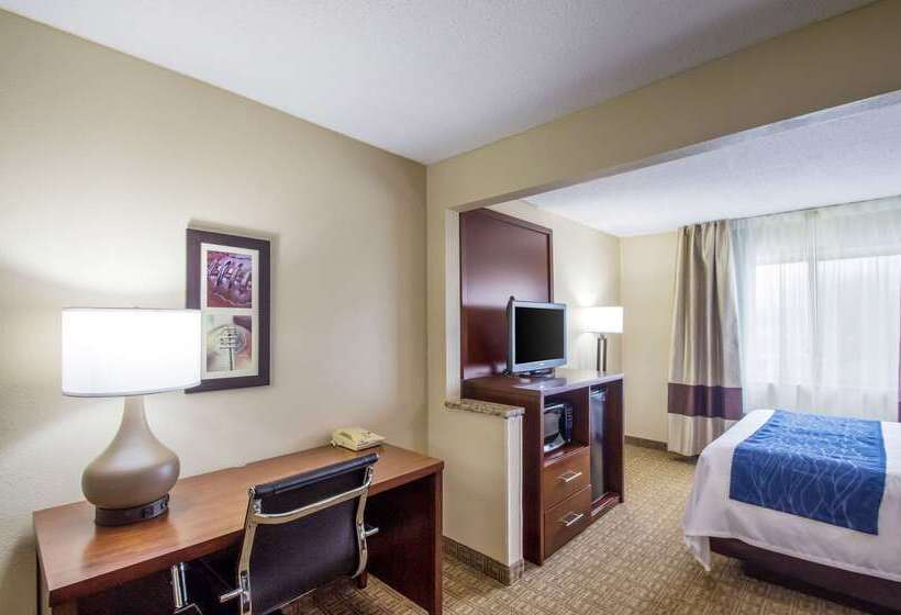 Отель Quality Inn & Suites