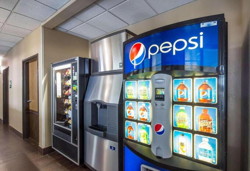 Отель Quality Inn & Suites