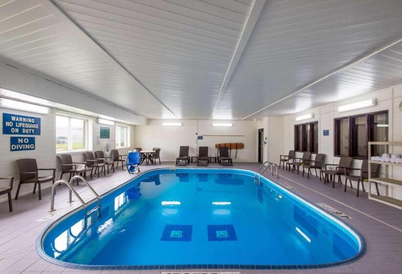 Отель Quality Inn & Suites