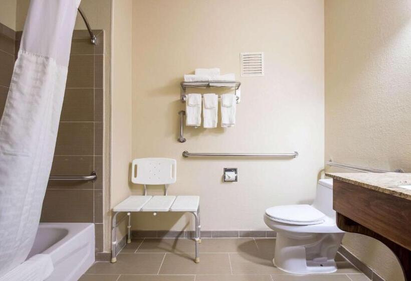 Отель Quality Inn & Suites