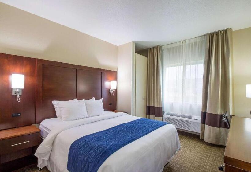 Отель Quality Inn & Suites