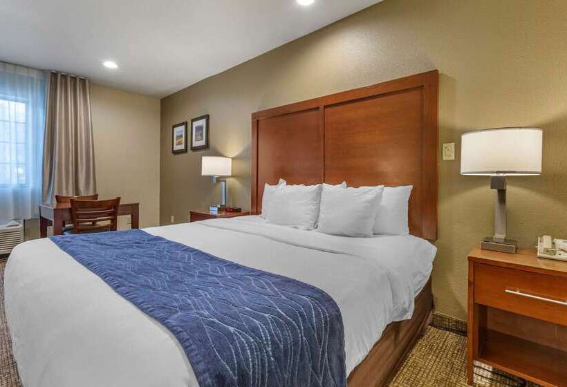 هتل Comfort Inn I17 & I40