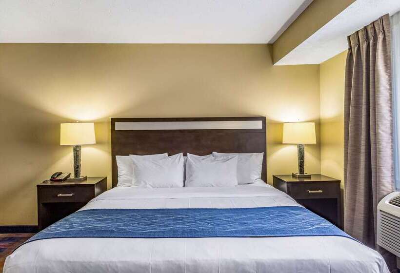 فندق Comfort Inn