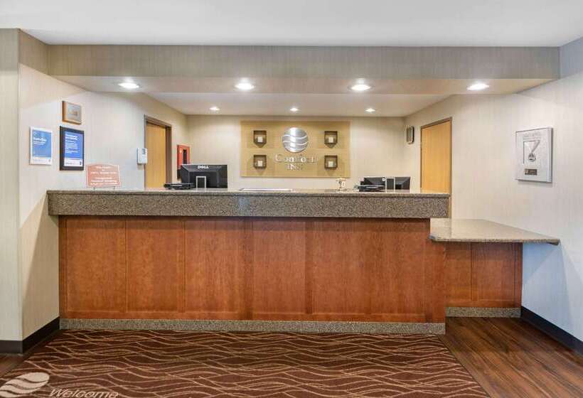 فندق Comfort Inn